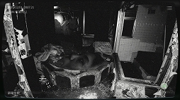 ���������꡼ No.006�Υ���ͥ������ / �����ܻ���ʪ��ƻ붨��2�ס�Steam���ۿ����ϡ�����ʪ��δƻ���Ȥ���Ư���Ȱ۾︽�ݴƻ륲�����