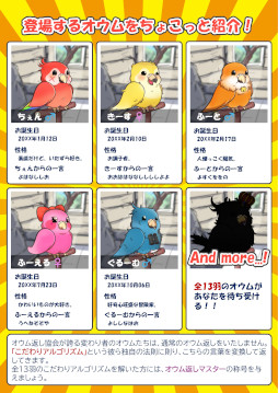 画像ギャラリー No.008のサムネイル画像 / 暗号解読ゲーム「うちのオウムは変わり者」,Steamでリリース。オウムたちと話して,それぞれのこだわりを見破ろう