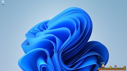 ꡼ No.003 | Desktop Pomeranian Fantasy