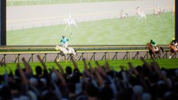 画像ギャラリー No.005のサムネイル画像 / ジョッキー視点でリアルなレース体験が楽しめる「Full Stride」,Steamストアページを公開。新規PVも公開