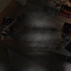 �ѥå�����