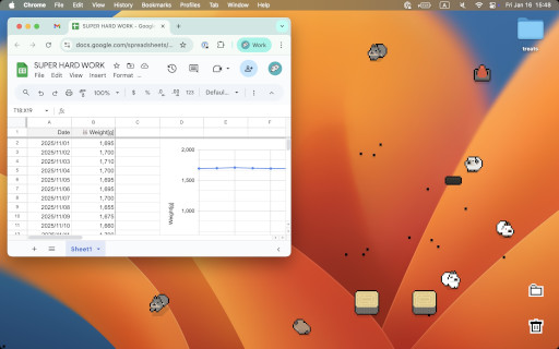 ���������꡼ No.002�Υ���ͥ������ / �������ΡȤ���ԡɤ򽸤��ǥ����ȥå����ַϥ���֤������Ȥס��ס�1��23�����ۿ�