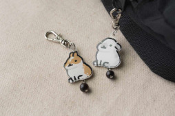 ���������꡼ No.010�Υ���ͥ������ / �������ΡȤ���ԡɤ򽸤��ǥ����ȥå����ַϥ���֤������Ȥס��ס�1��23�����ۿ�