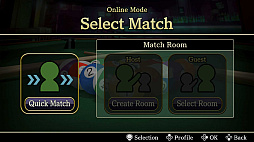 SIMPLEシリーズ for Nintendo Switch 2 Vol.2 THE ビリヤード