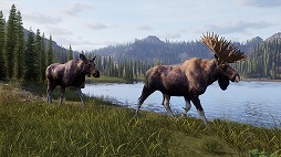 画像ギャラリー No.006のサムネイル画像 / 人気狩猟シムの続編「Way of the Hunter 2」が発表に。アナウンストレイラーが公開され,狩猟犬「ハンティングドッグ」などの新要素が登場