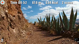 ウォーキング・ダイエット