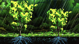 Treeplanter