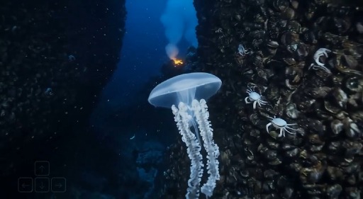 ꡼ No.009Υͥ / ƥȥץץȤץ쥤ǽʰΤФGoogle DeepMindοѥɥǥGenie 3ȯɽ