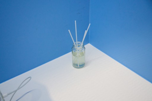 ꡼ No.005Υͥ / ֶʼϥХդˤʤ׶Ķ󥵥륿ȤΥ⥢Ÿȥѥեޥ󥹤δط֡θTGS2025