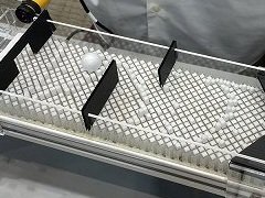 �֥�����ǥ����󶵰�Τ���Υ�����פˡ��ܤ����ڤΥ��ʥ���Ū��ˡ�ʤɡ���̣����Ÿ���ο�����CEDEC 2025��