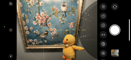 ���������꡼ No.009�Υ���ͥ������ / �䤷����1�Ĥ���ʤ��������ˡ����ȥ��Υ������ꥹ�Ȥ�ʹ�����䤷��ǿ�����ڤ̤�������饤�ֱ����վޡ�