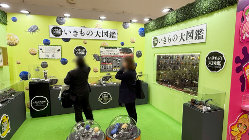 ꡼ No.019Υͥ / ȥɤޤ̴ζ֥֡ݥĶ̴Ÿ 2025פݡȡ󥰤ǤΥ󥹥󥸤䡤ѥѥեܡΥơʤ