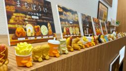 ꡼ No.029Υͥ / ȥɤޤ̴ζ֥֡ݥĶ̴Ÿ 2025פݡȡ󥰤ǤΥ󥹥󥸤䡤ѥѥեܡΥơʤ