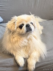 ꡼ No.009Υͥ / Υ󥿥ӥ塼ϡ֥ϥ塼!!ס֥ҥ׷ȼȡӤ椦᤬롪̤̾벻ڤȡֵȼספؤۤ