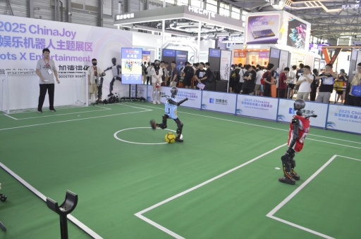 ꡼ No.001Υͥ / ȰȤ˰ɤλϰճ᤯롩ԻͤγȯץŪäܥåȤҲCJ2025