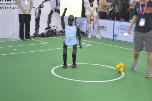 ꡼ No.003Υͥ / ȰȤ˰ɤλϰճ᤯롩ԻͤγȯץŪäܥåȤҲCJ2025