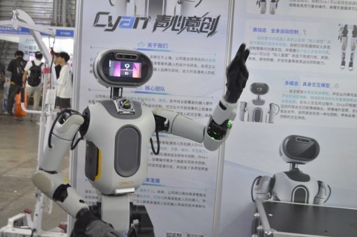 ꡼ No.006Υͥ / ȰȤ˰ɤλϰճ᤯롩ԻͤγȯץŪäܥåȤҲCJ2025