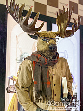 ꡼ No.274 | TGS 2025 ѥ˥ץ쥤䡼̿ZIPեʤˤϤ6ǯ֤420硤ѤԤޤġġ