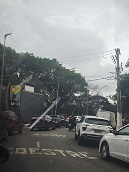 ꡼ No.001Υͥ / Brazil Game Show 2025׳롪ȯɽȤ֥๥ΤΤפפȤäʷϵ30ͤΥե򤪤Ƥʤ