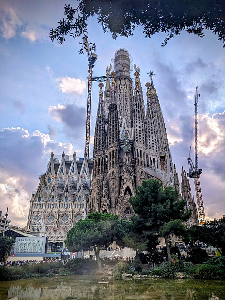 ꡼ No.007Υͥ / 絬ϤΥ।٥ȡBCN Game Fest 2025סڥ󡦥Х륻ʤ鸽ϥݡ