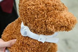 画像ギャラリー No.021のサムネイル画像 / 犬猫のお写真をいっぱい撮っただけでゴメンナサイ！　おもしろワンニャンアイテムたくさんの“インターペット2026”