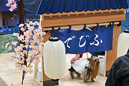 画像ギャラリー No.064のサムネイル画像 / 犬猫のお写真をいっぱい撮っただけでゴメンナサイ！　おもしろワンニャンアイテムたくさんの“インターペット2026”