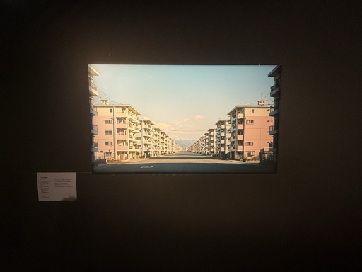 画像ギャラリー No.009のサムネイル画像 / 渋谷で「恐怖心展」開催中。人の根底にある“恐れ”に触れ,自分と他者が映し出される展示体験