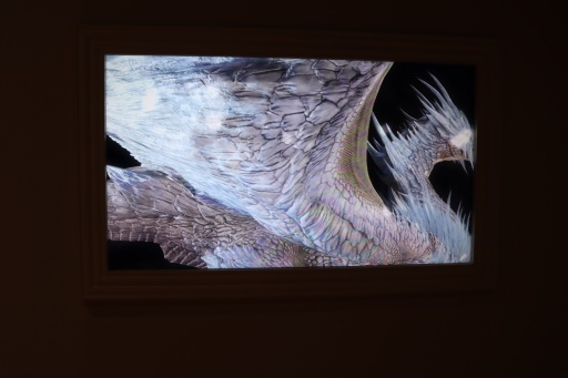 ���������꡼ No.027�Υ���ͥ������ / ����������祫�ץ���Ÿ����������������ݡ��ȡ�40ǯ�ʾ�ˤ錄����ˡ��ȼ��Υ����೫ȯ�Υ��ϥ������Ťʻ������ˤ��ߤʤ�Ÿ��