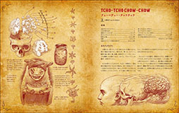 ���������꡼ No.006�Υ���ͥ������ / SAN��ľ��ʥ쥷�Խ��֥������եȤ�ʪ�줫�����ޤ줿�쥷�Ԥȵ��������������ͥ����Υߥ���ס�8���ȯ��