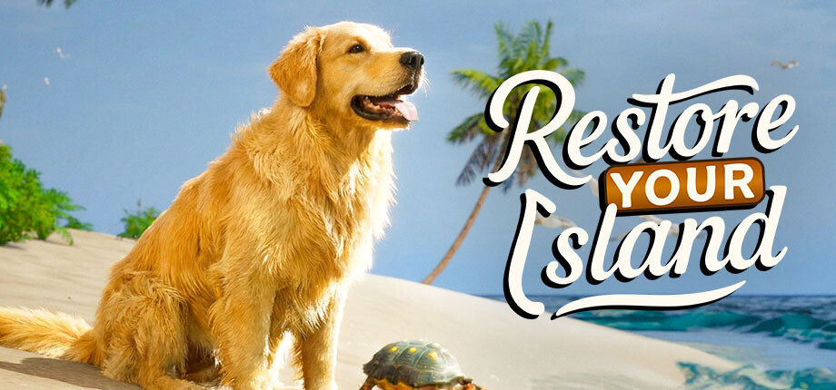 �ѥå�����