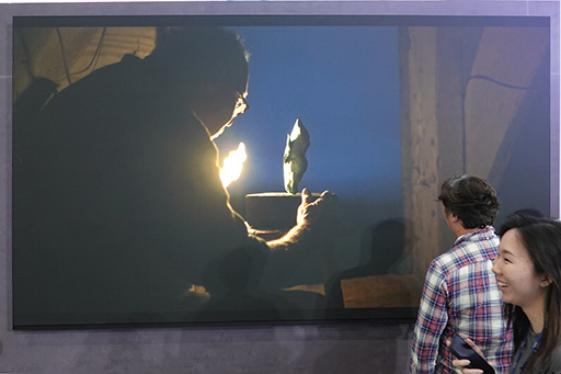 ꡼ No.006Υͥ / ꥨ֥ɡProArtפ顤6K٤32ǥץ쥤о졣162ΥޥLEDǥץ쥤Ϫ