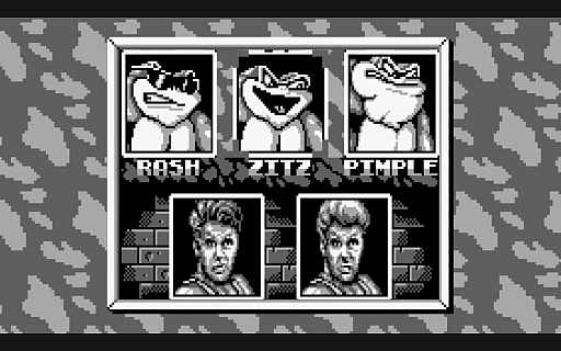���������꡼ No.004�Υ���ͥ������ / ��Battletoads & Double Dragon�ץ�����ܡ����������쥯���������ǥ�������ͽ�������档���������Υ�����ȡ֥��֥�ɥ饴��פη���ˤ��̴�Υ����
