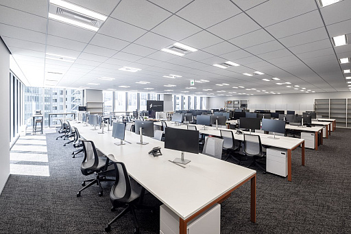 ꡼ No.001Υͥ / LightSpeed JapanɽΰѾ˥󥿥ӥ塼ꥸʥIPAAAȥȯ뿷ߥθϡ