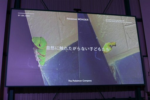 ���������꡼ No.006�Υ���ͥ������ / ��Pokémon Wonder��ȯɽ�������θ����ݡ��ȡ���ߤ�����ɤι���ʿ�����ǡȥݥ����θ����ɤ��θ����褦