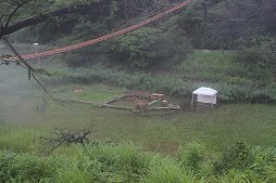 ���������꡼ No.015�Υ���ͥ������ / ��Pokémon Wonder��ȯɽ�������θ����ݡ��ȡ���ߤ�����ɤι���ʿ�����ǡȥݥ����θ����ɤ��θ����褦