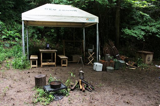 ���������꡼ No.022�Υ���ͥ������ / ��Pokémon Wonder��ȯɽ�������θ����ݡ��ȡ���ߤ�����ɤι���ʿ�����ǡȥݥ����θ����ɤ��θ����褦