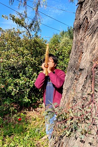 ���������꡼ No.075�Υ���ͥ������ / ������ȳ���165�ͤ�2022ǯ�򿶤��֤ꡤ��ǯ�ؤ�������롣ǯ������Υ����Ƚ����