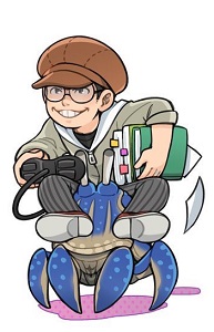 ���������꡼ No.344�Υ���ͥ������ / ������ȳ���165�ͤ�2022ǯ�򿶤��֤ꡤ��ǯ�ؤ�������롣ǯ������Υ����Ƚ����