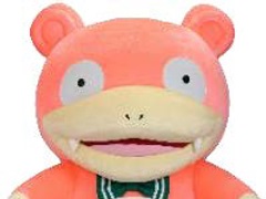 �֥�ɥ����פ�Ϥ��ᡤ��ɥ�Υե��꡼/�Х�/���������������衤���ڻ��ޤǡ���ɥ�Ť�����ι�����ʤǤ������Υ���ܾ�������