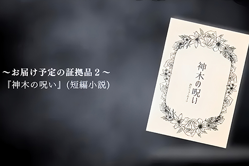 ���������꡼ No.007�Υ���ͥ������ / 3�����������Ϥ��ڵ��ʤ����˻�����褹������������õ�夲�������2�ơ�ŷ���绦�������ԡפ������������ӥ�Makuake�����䳫��