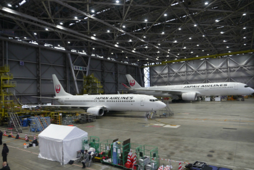 ���������꡼ No.018�Υ���ͥ������ / ����ѥӥꥪ����о줹�뿷���ʥ�����ब���ߥ㥯�ߥ㥯�ȤȤ�˥���ܥ����åȤǶ����񤦡���JAL�������JET�פ���Ϫ�ܲ��ݡ���