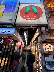 ���������꡼ No.018�Υ���ͥ������ / ����ǥ���������νդκ�ŵ��TOKYO INDIE GAMES SUMMIT 2025�ץ�ݡ��ȡ�������򼴤ˡ��۶ȼ�ȤΥ���ܤ����ޤ����ȯŸ��