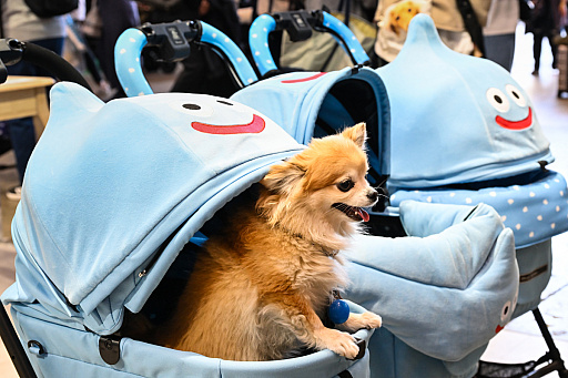 ���������꡼ No.015�Υ���ͥ������ / �������ˤθ�ǭ���å���SQEX PETs�פ�9��ȯ����ꡪ�����⤷�����˥�󥢥��ƥि������Ρȥ��󥿡��ڥå�2025��