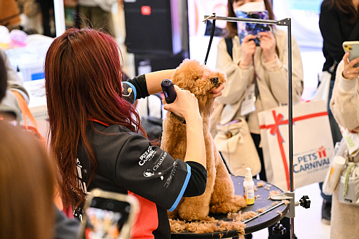 ���������꡼ No.033�Υ���ͥ������ / �������ˤθ�ǭ���å���SQEX PETs�פ�9��ȯ����ꡪ�����⤷�����˥�󥢥��ƥि������Ρȥ��󥿡��ڥå�2025��