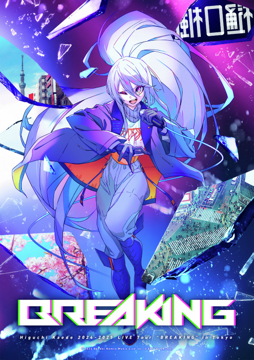 ���������꡼ No.022�Υ���ͥ������ / ���� �������Υ����饤�֥ĥ�����BREAKING����������ݡ��ȡ�������ɤ餷�����ܡ���������ϯ�ɡ��ե���ᥤ�ɶʤ�£�밵�����ơ���