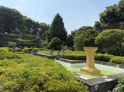 ꡼ No.009Υͥ / ηդʤۥnwm DOTSפϡ⤷ʤȤΤˤäɤʡ㤤ʪSurfer27