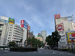 ꡼ No.011Υͥ / ηդʤۥnwm DOTSפϡ⤷ʤȤΤˤäɤʡ㤤ʪSurfer27