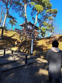 ���������꡼ No.009�Υ���ͥ������ / �ȿ䤷���ƻ ��6�󡧽��Ĥȳ����ǰ������������1���������5�߶̤򽸤����ͥ��Į�����ˤ���ΡȤ���ɤ����ڤˤ���������