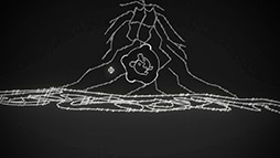 ���������꡼ No.569�Υ���ͥ������ / 4Gamerǯ������Ρ֥�����ȳ���̾�ͥ����Ƚ��״�衣194̾��2025ǯ�򿶤��֤ꡤ��ǯ�ؤη�դ���