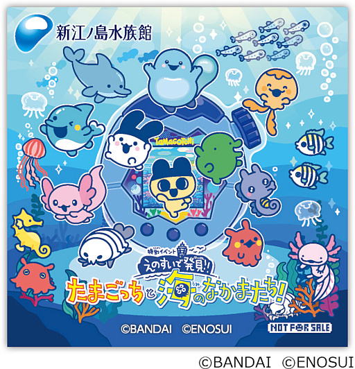 画像ギャラリー No.003のサムネイル画像 / 「たまごっち」と新江ノ島水族館のコラボイベントが3月14日から開催。特別展示やグッズの販売などを実施